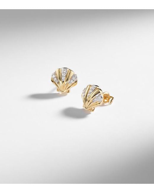 Mateo White Petite Venus 14Kt Stud Earrings With Diamonds