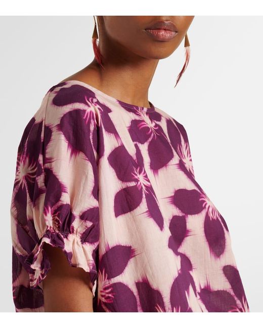 Velvet Pink Bluse Delilah Aus Baumwollpopeline