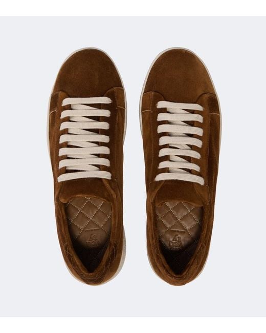 Eleventy Brown Suede Sneakers for men