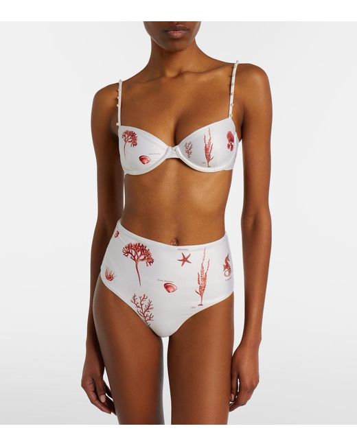 Agua Bendita Pink Magdalena Printed Bikini Bottoms