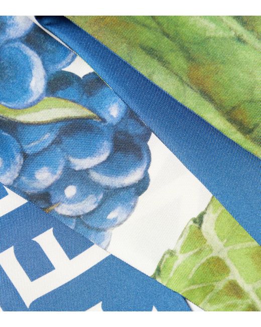 Foulard imprime en soie Ferragamo en coloris Blue