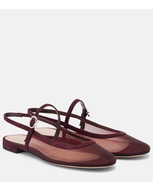 Gianvito Rossi Brown Sling Organza Ballet Flats
