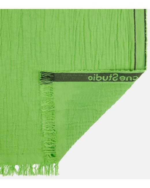 Sciarpa di Acne in Green