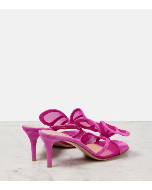 Gianvito Rossi Pink Ilia 70 Mesh Mules
