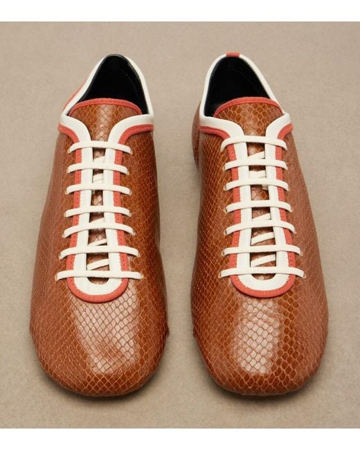 Dries Van Noten Brown Snake-Effect Leather Sneakers