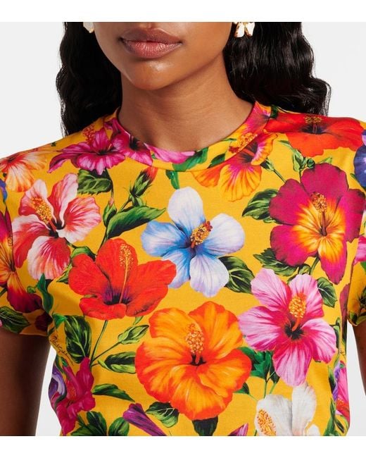 Dolce & Gabbana Orange Floral Cotton Crop Top