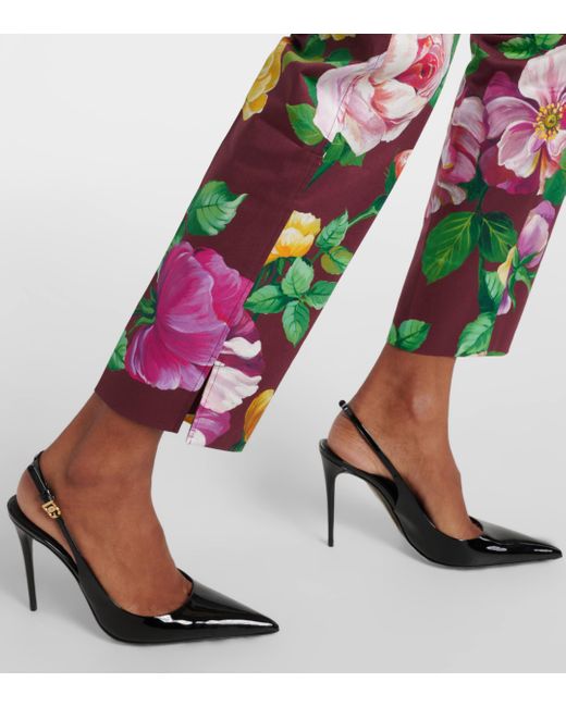 Dolce & Gabbana Green Floral Low-rise Cotton-blend Pants