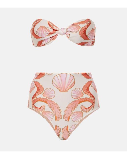 Bikini Seashell A Vita Alta di Adriana Degreas in Pink
