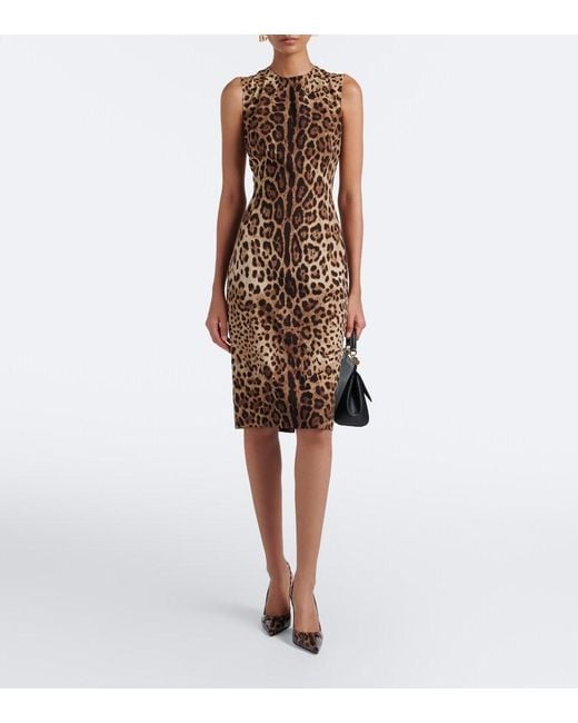 Dolce & Gabbana Brown Leopard-Print Silk-Blend Charmeuse Midi Dress