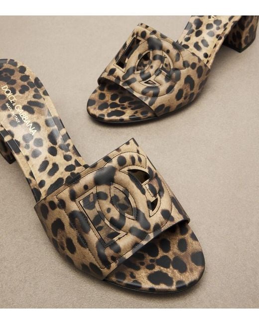 Dolce & Gabbana Brown Dg Animal-Print Leather Mules