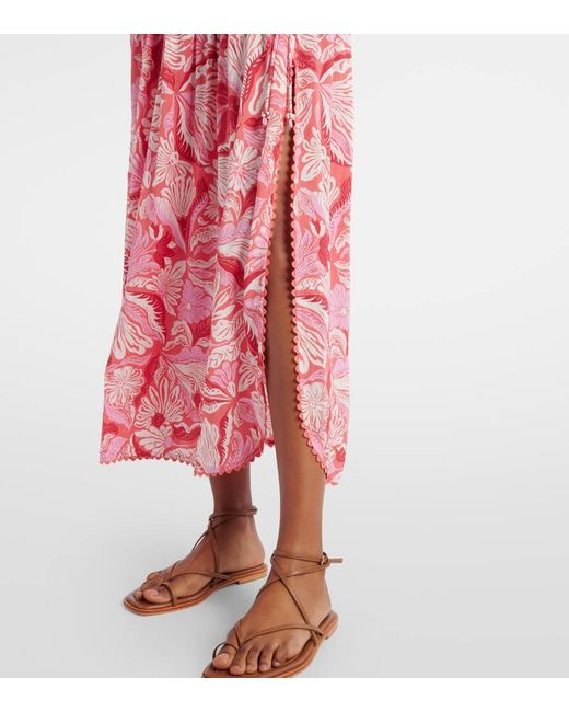 Falda Midi Carla Plisada Estampada Poupette de color Pink