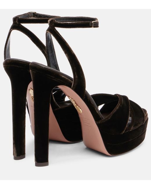 Aquazzura Black Plateausandalen Divine 130 Aus Samt