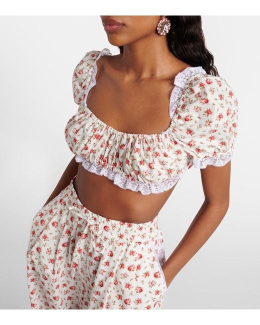 Dolce & Gabbana Pink Floral Lace-Trimmed Cotton Poplin Crop Top