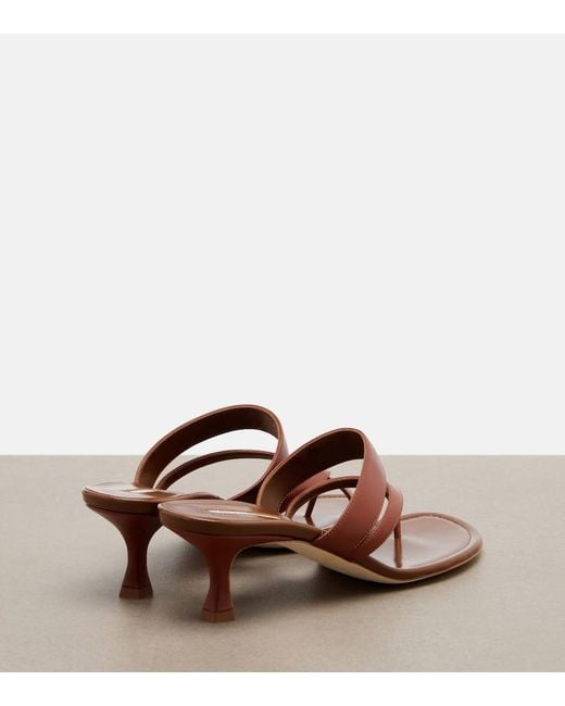 Manolo Blahnik Brown Susa Leather Thong Sandals