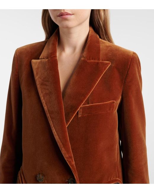 Blazé Milano Brown Everynight Cotton Velvet Blazer