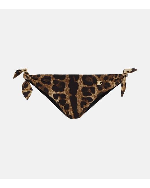 Slip bikini con stampa leopardata di Dolce & Gabbana in Brown