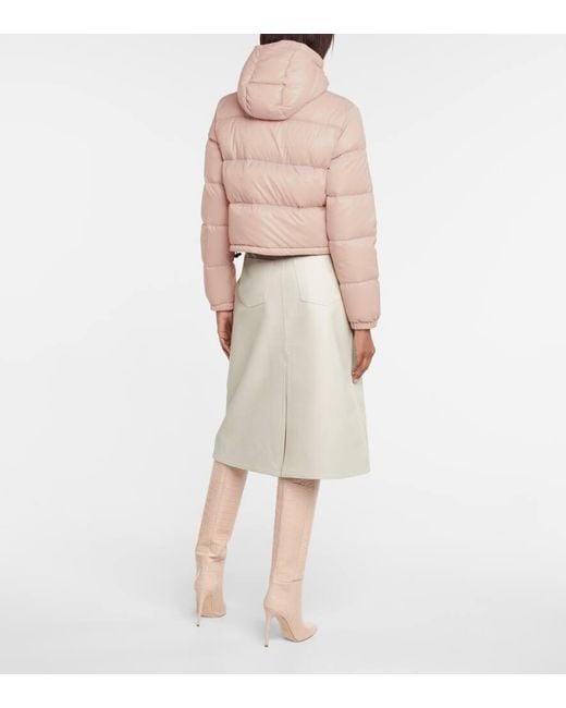 Moncler Pink Bardanette Cropped Down Jacket