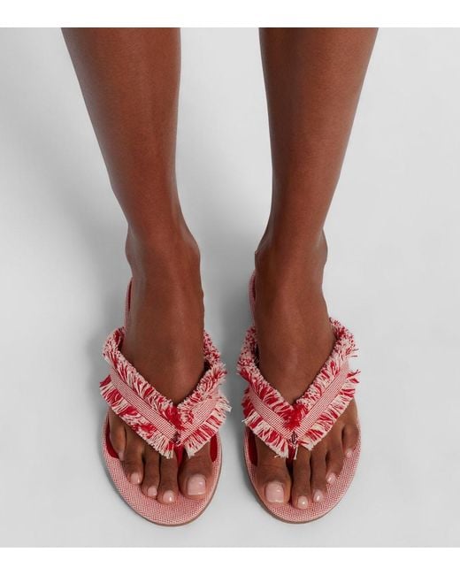 Jimmy Choo Pink Bay Fringed Canvas Thong Sandals