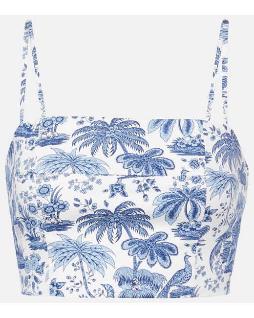 Staud Blue Federico Printed Cotton Crop Top