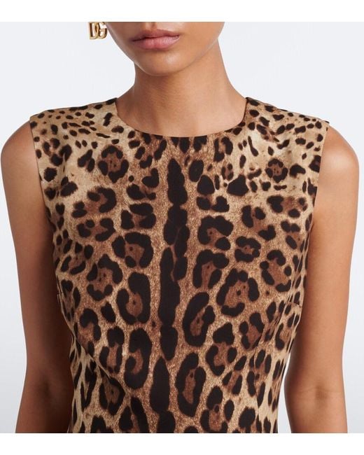 Dolce & Gabbana Brown Leopard-Print Silk-Blend Charmeuse Midi Dress