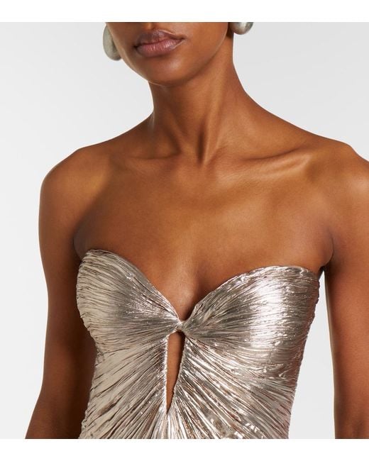 Maria Lucia Hohan Natural Mirren Silk-Blend Chiffon Bustier Gown