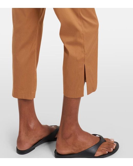 Max Mara Brown Curve Cotton-Blend Cropped Straight Pants