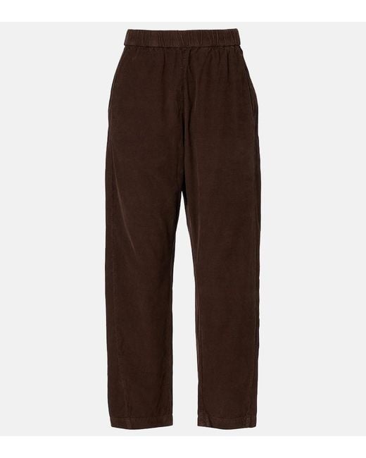 Velvet Brown Laney Cotton Straight Pants