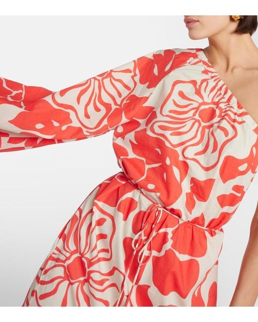 Faithfull The Brand Red Amorosa Floral Cotton Maxi Dress