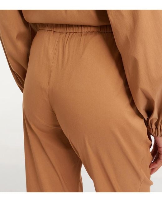 Max Mara Brown Curve Cotton-Blend Cropped Straight Pants