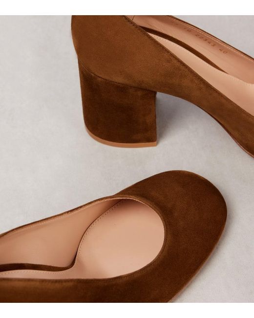 Gianvito Rossi Brown Pumps Aus Veloursleder