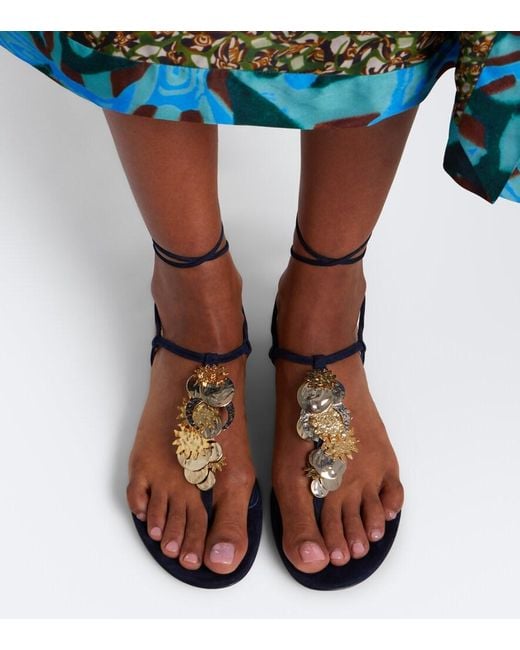 Aquazzura Blue Night Stars Embellished Suede Thong Sandals