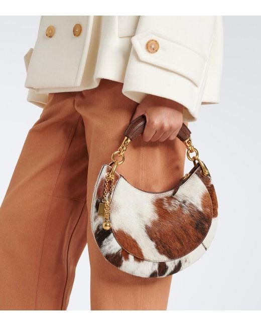 Chloé Brown Banana Small Calf Hair Top-Handle Bag