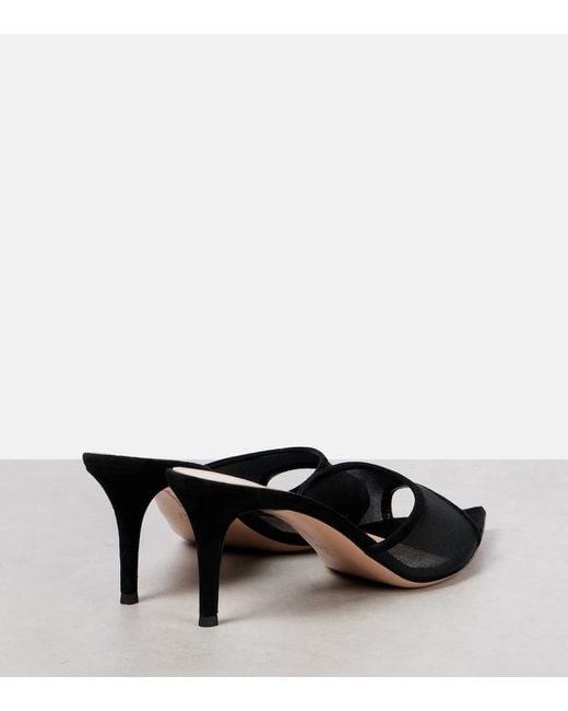 Gianvito Rossi Black Dorotea Suede-Trimmed Organza Mules