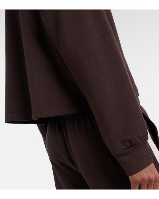 Velvet Brown Marian Polo Sweater