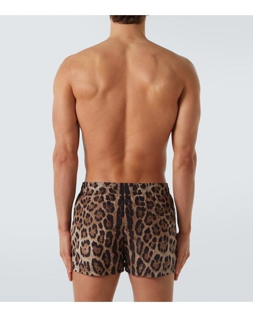 Dolce & Gabbana Brown Leopard-Print Swim Trunks for men