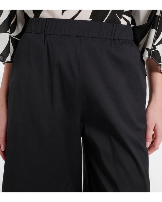 Max Mara Blue Pece Cropped Cotton-Blend Wide-Leg Pants