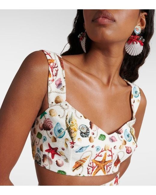 Dolce & Gabbana Multicolor Bedrucktes Bralette Capri aus Baumwolle