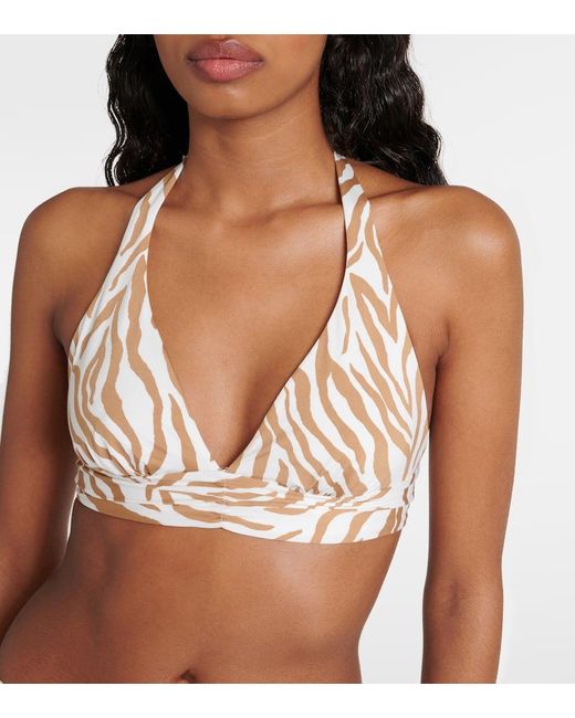 Max Mara Natural Alberta Zebra-print Bikini Top