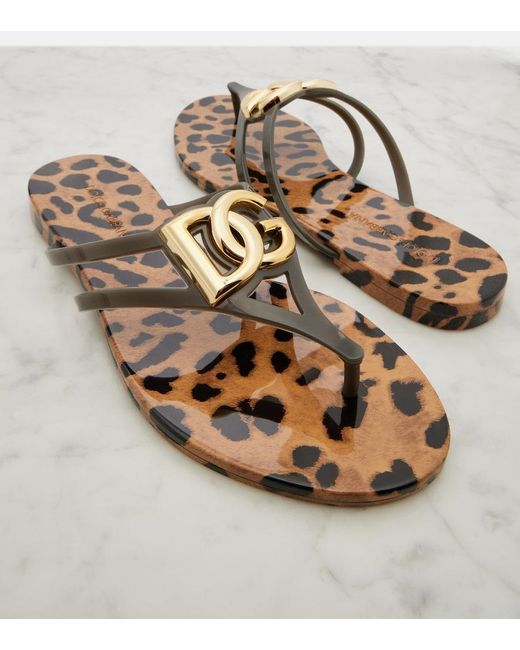 Dolce & Gabbana Brown Dg Leopard-Print Thong Sandals