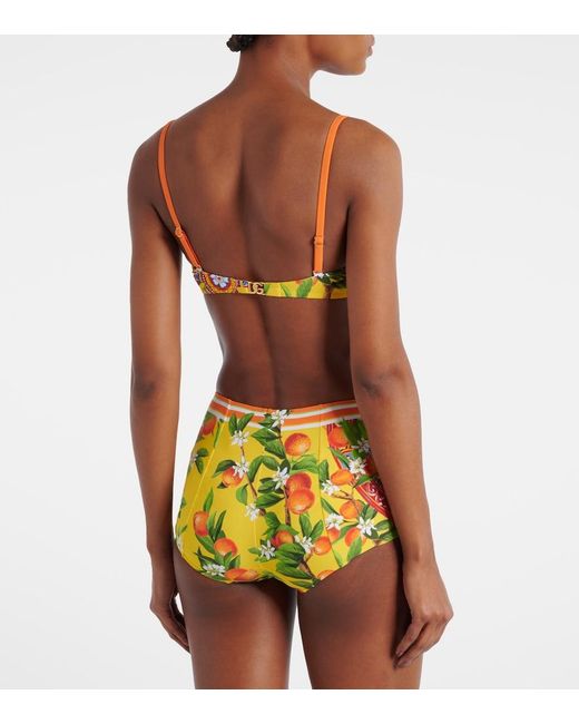 Dolce & Gabbana Yellow Printed Bikini