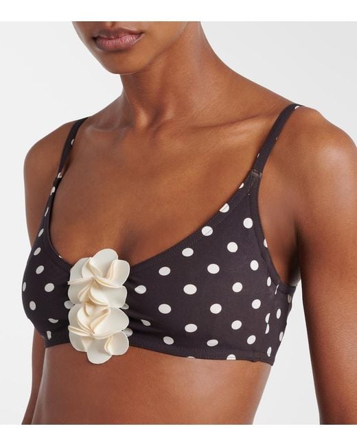 Karla Colletto Black Floral-Applique Polka-Dot Bikini Top