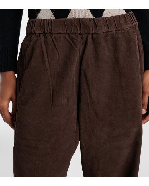 Velvet Brown Laney Cotton Straight Pants