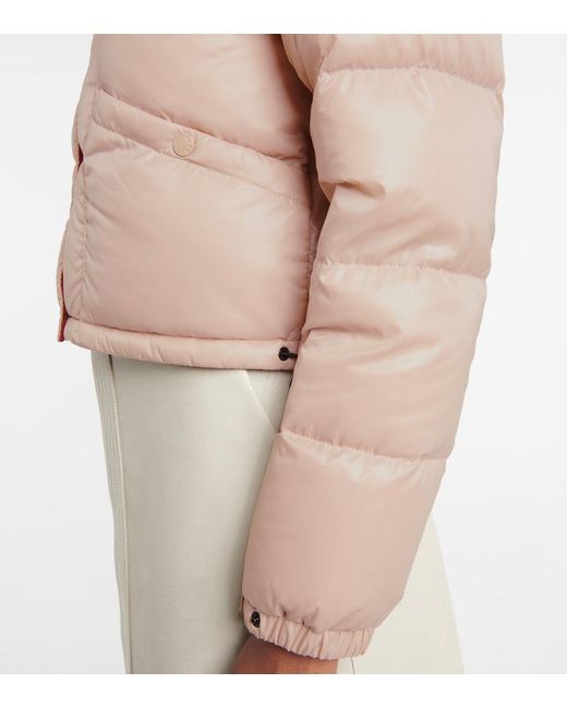 Moncler Pink Bardanette Cropped Down Jacket