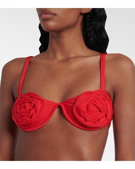 Adriana Degreas Red Floral-Applique Bikini