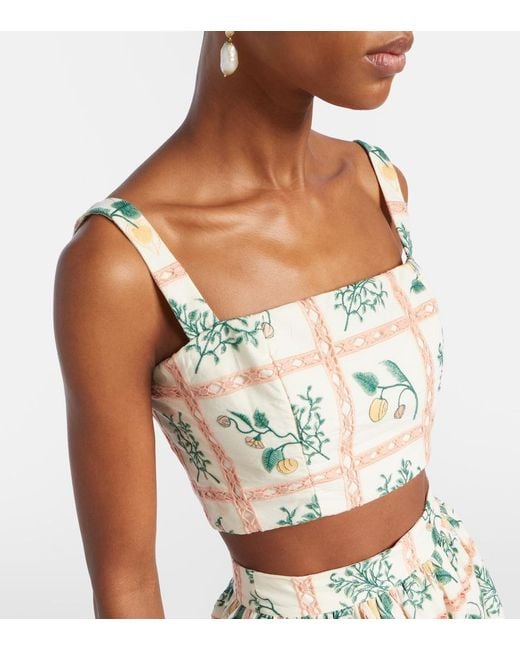 Agua Bendita Metallic Cacao Embroidered Cotton Crop Top