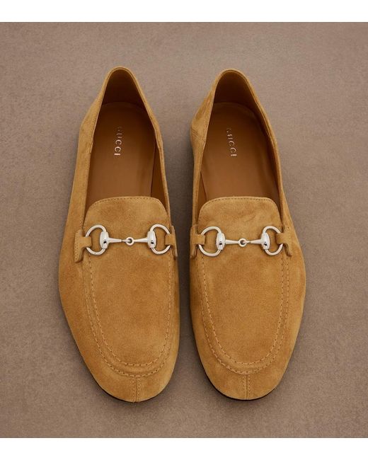 Gucci Brown Jordaan Horsebit Suede Loafers