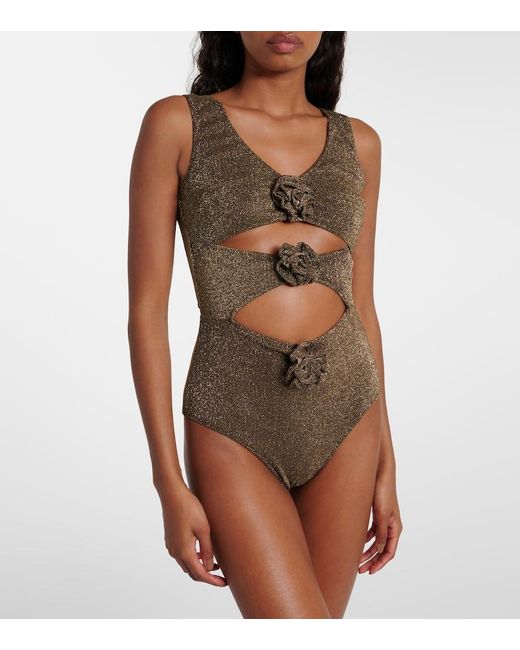 Alexandra Miro Brown Beth Floral-Applique Swimsuit