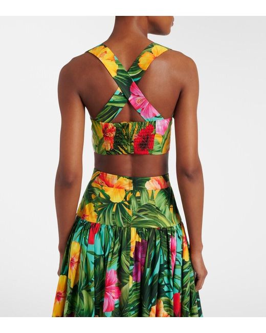 Dolce & Gabbana Green Floral Cotton Crop Top