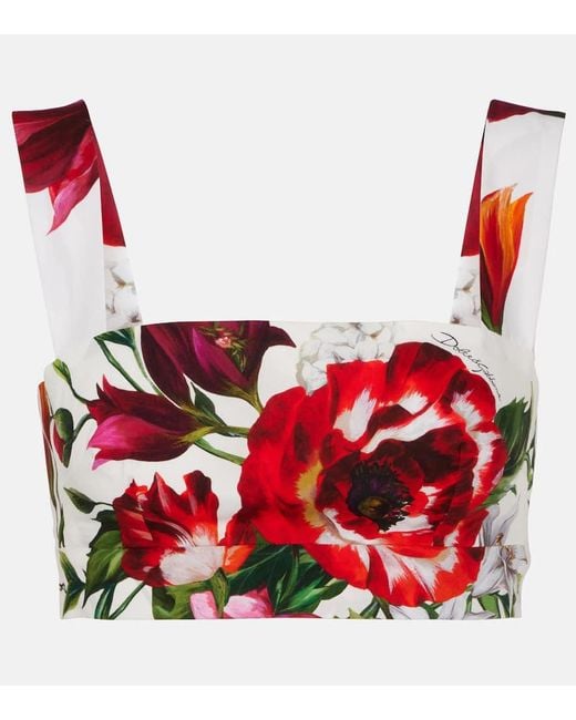 Dolce & Gabbana Red Floral Cotton Poplin Bra Top