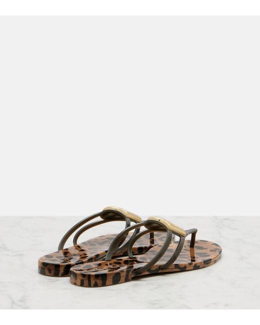Dolce & Gabbana Brown Dg Leopard-Print Thong Sandals